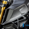Ilmberger Diavel 1260 19-20 エアーチューブカバー 左 (艶なし) LKL.102.DI19M.K