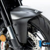 Ilmberger Diavel V4 23-24 フロントフェンダー (艶なし) KVO.122.DI23M.K - 画像 (2)