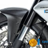 Ilmberger Diavel V4 23-24 フロントフェンダー (艶なし) KVO.122.DI23M.K - 画像 (4)