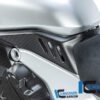 Ilmberger Diavel V4 23-24 カバーアンダータンク 左 (艶なし) ATL.107.DI23M.K - 画像 (2)