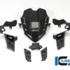 Ilmberger PANIGALE V4 18-21 レーシング インスツルメントカバー(艶あり) IAO.030.DPV4G.K - 画像 (5)
