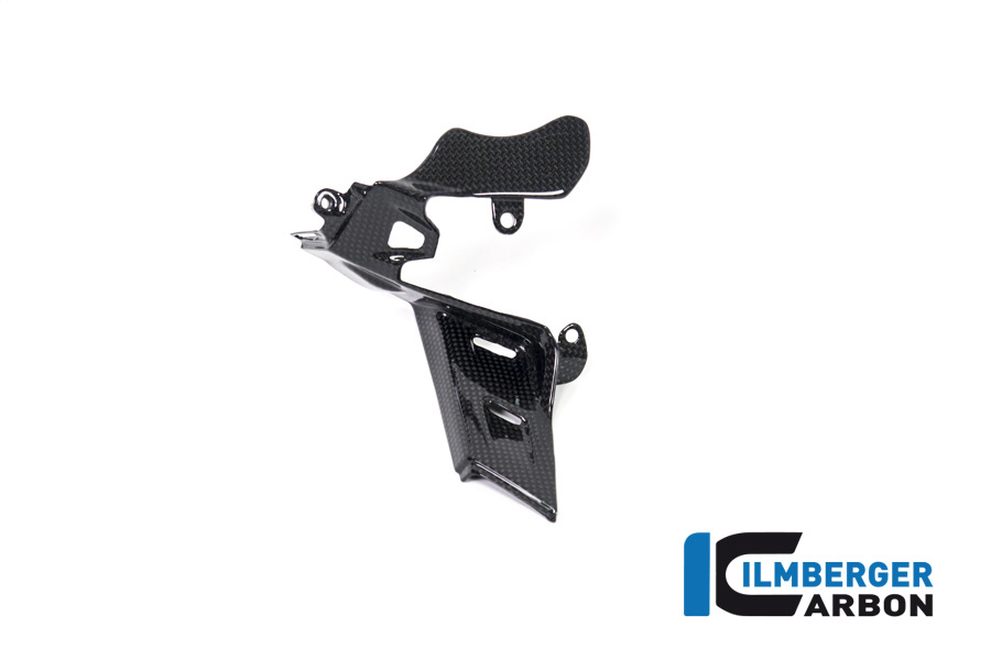 Ilmberger PANIGALE V4S 18-23 インスツルメントカバー(艶あり) IAO.030.DPV4G.K - 画像 (2)