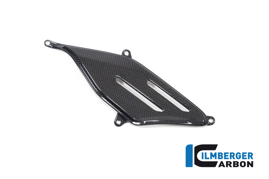 Ilmberger PANIGALE V4S 22-23  エグゾーストカバーパネル 右（艶あり) ADR.012.V422G.K - 画像 (2)