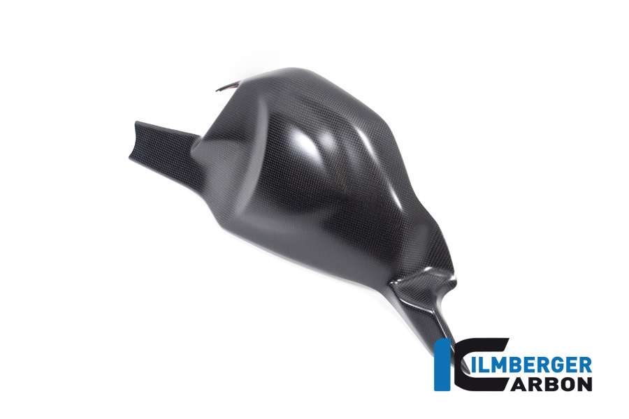 Ilmberger PANIGALE V4S 22-23  スイングアームカバー(艶なし) SSO.109.V422M.K - 画像 (3)