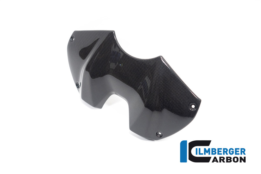 Ilmberger PANIGALE V4S 22-23  タンクパネル フロント(艶あり) TAO.001.V422G.K - 画像 (5)