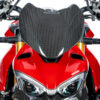 Ilmberger  Streetfighter V2 22-23 フェアリングローワーパート（艶あり)  VEO.010.SFV4G.K - 画像 (4)