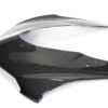 Ilmberger Panigale V4S 20-23 レーシングカウル専用 フロントフェアリング (艶あり) VEO.064.V4RRG.K