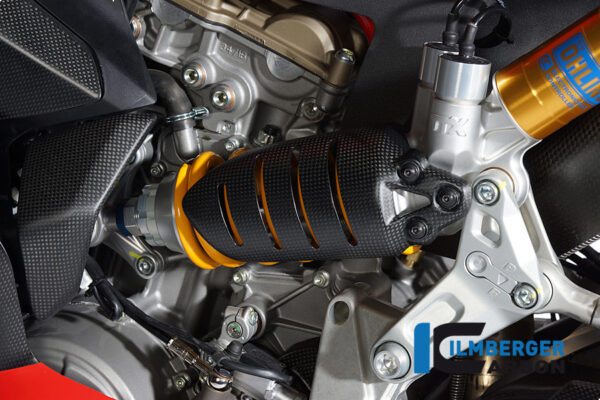 1199 Panigare/S 2012-2014 Ilmberger リアサスペンションカバー FAO.018.D1199.K