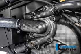 Monster 1200/S 2017-2022 Ilmberger ウォーターポンプガード 艶なし PUA.108.DM17M.K