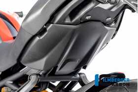 Monster 1200/S 2017-2022 Ilmberger リアアンダートレイ 艶なし RHA.111.DM17M.K
