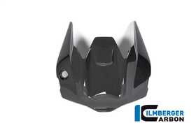 Monster 1200/S 2017-2022 Ilmberger リアアンダートレイ 艶あり RHA.011.DM17G.K