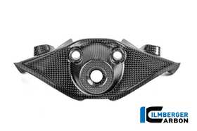 Panigare V4S 2025 Ilmberger イグニッションロックカバー カーボンマット (艶なし) CM.ZSA.004.V4P24