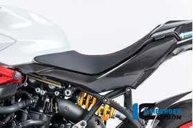 Supersport/939/S 2017-2020 Ilmberger アンダーシートサイドパネル 左 艶あり SDL.008.DSS7G.K