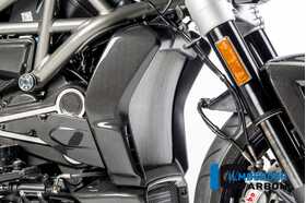 XDIAVEL/S 2016-2024 Ilmberger ラジエーターカバー 右 艶あり WKR.005.XD16G.K