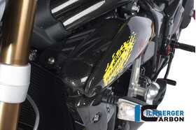 Speed Triple/1050/R/S/RS 2011-2020 Ilmberger サイドパネル (ウォータークーラー上部) 左 SKL.017.TRSPT.K