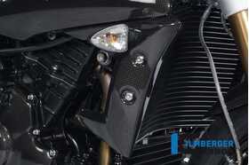 Speed Triple/1050/R/S/RS 2011-2020 Ilmberger ラジエーターカバー 右 WKR.020.TRSPT.K