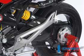 Monster 796 2010-2022 Ilmberger スイングアームカバー 艶なし SSO.017.D110M.K