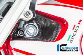Monster 821 2014-2015 Ilmberger イグニッションスイッチカバー 艶あり TDA.001.MR12G.K